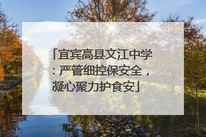 宜宾高县文江中学：严管细控保安全，凝心聚力护食安